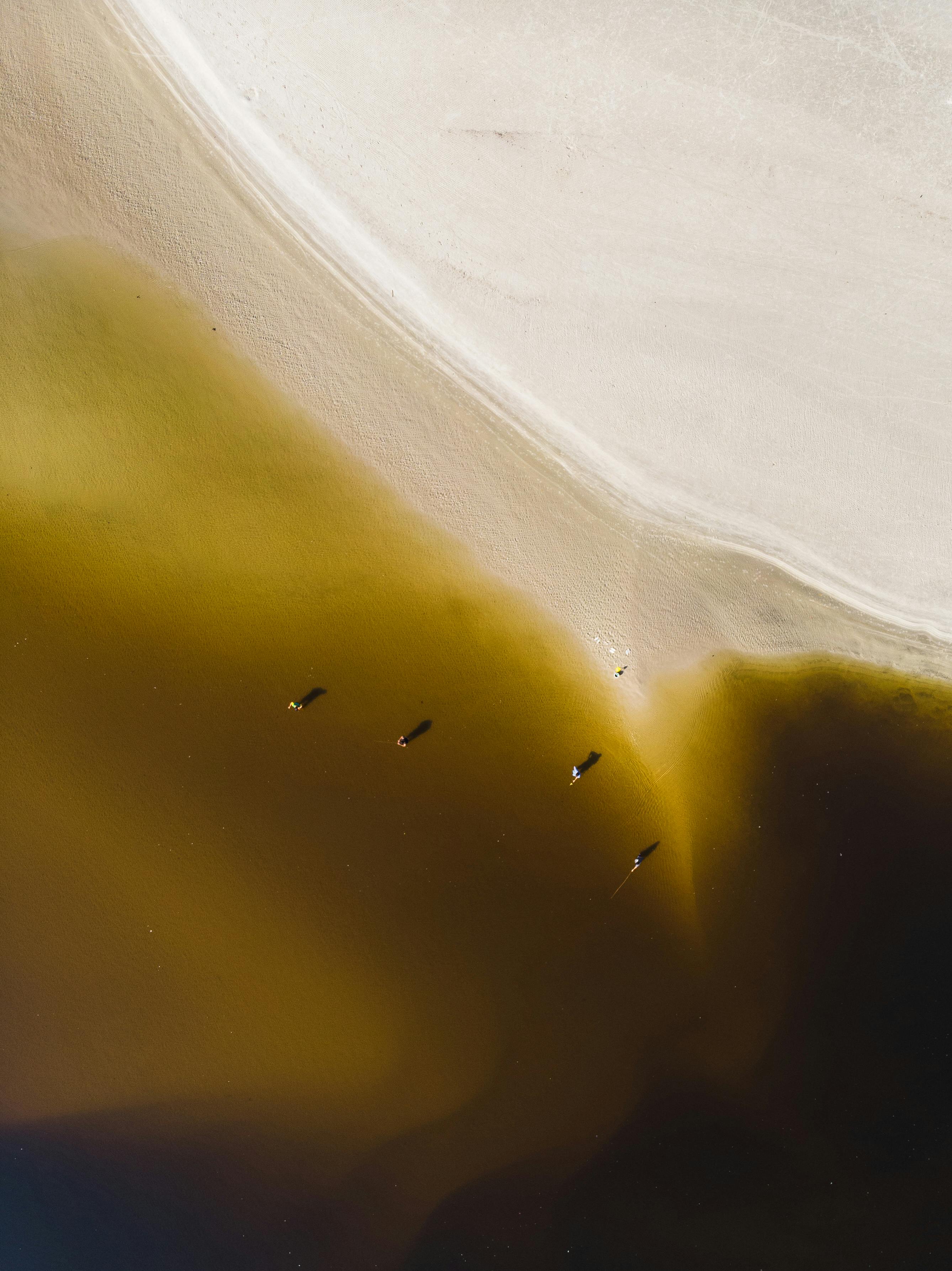 Drone shot of a sandy beach meeting dark water on a sunny day.