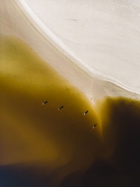Drone shot of a sandy beach meeting dark water on a sunny day.