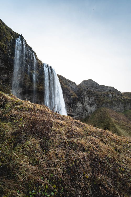 Free Seljalandsfoss Waterfall in Iceland Stock Photo
