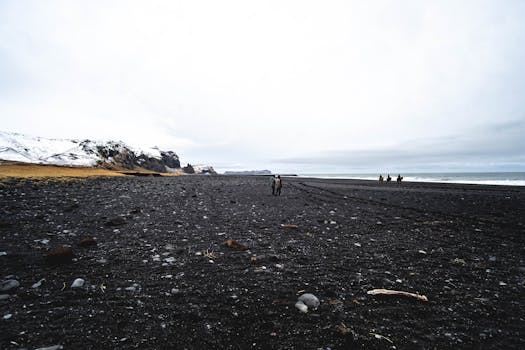 A stunning view of Iceland's black sand beach with snowy mountains and the ocean in the background.