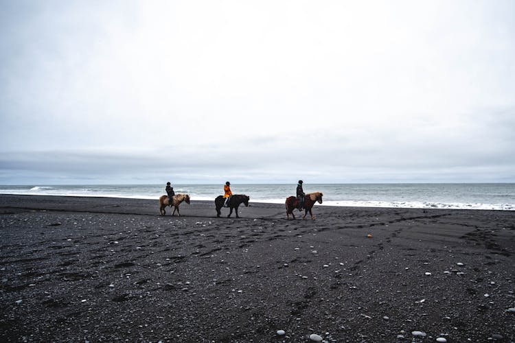 People Riding Horses At The Beach 