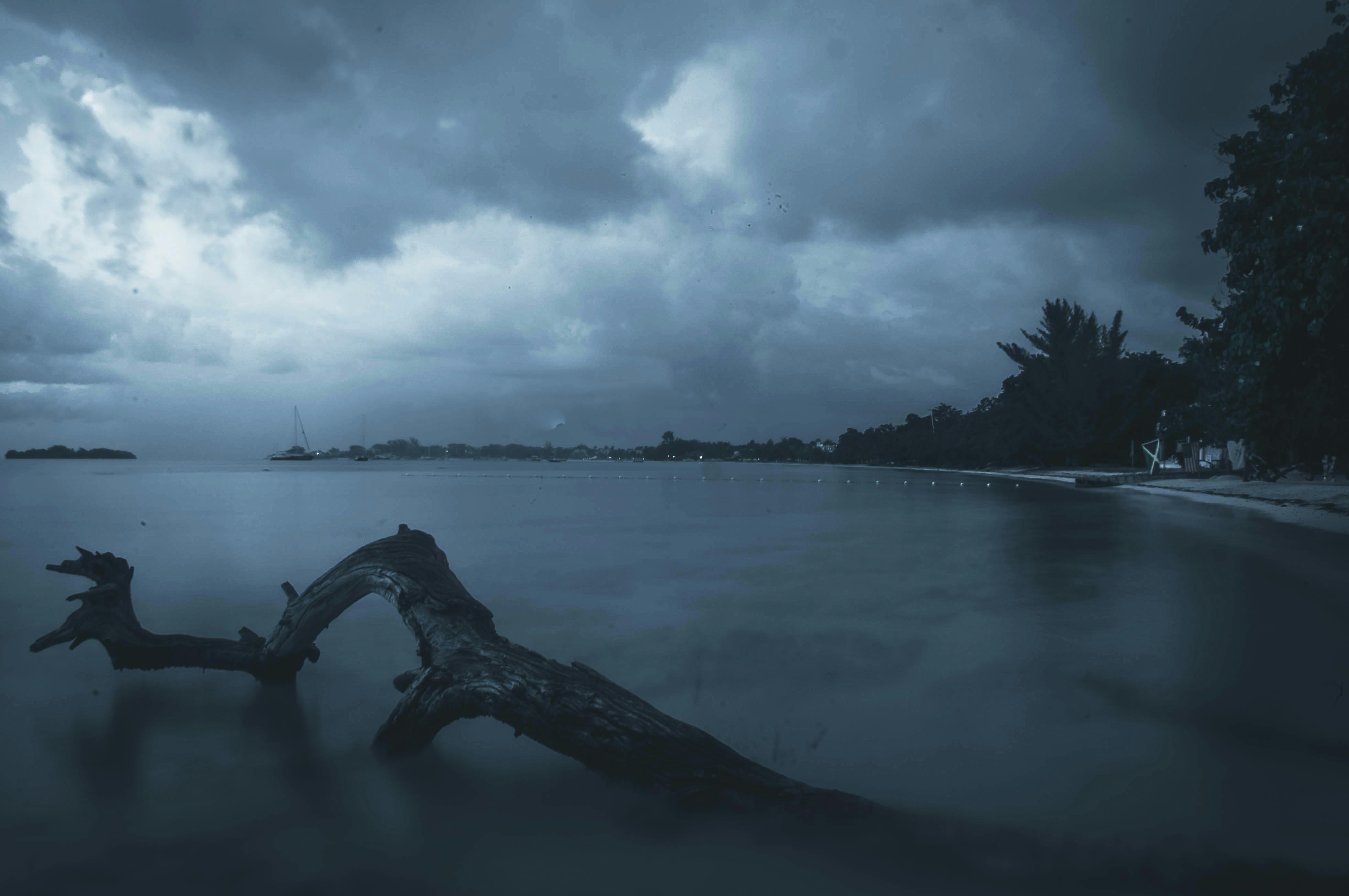 Serene beach in Jamaica - magic mushroom retreats