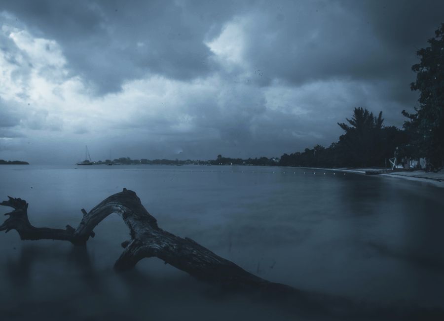 A tranquil beach scene at twilight in Negril, Jamaica, featuring driftwood and a dramatic sky.