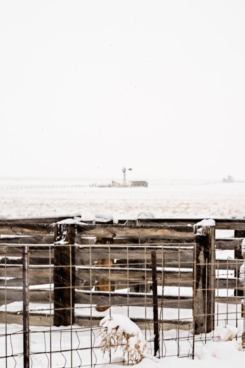 çayır, dağ, kar içeren Ücretsiz stok fotoğraf