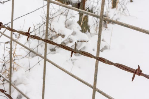 Fotobanka s bezplatnými fotkami na tému chladný, ohrada, ostnatý drôt