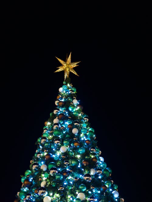 Christmas Tree against Night Sky