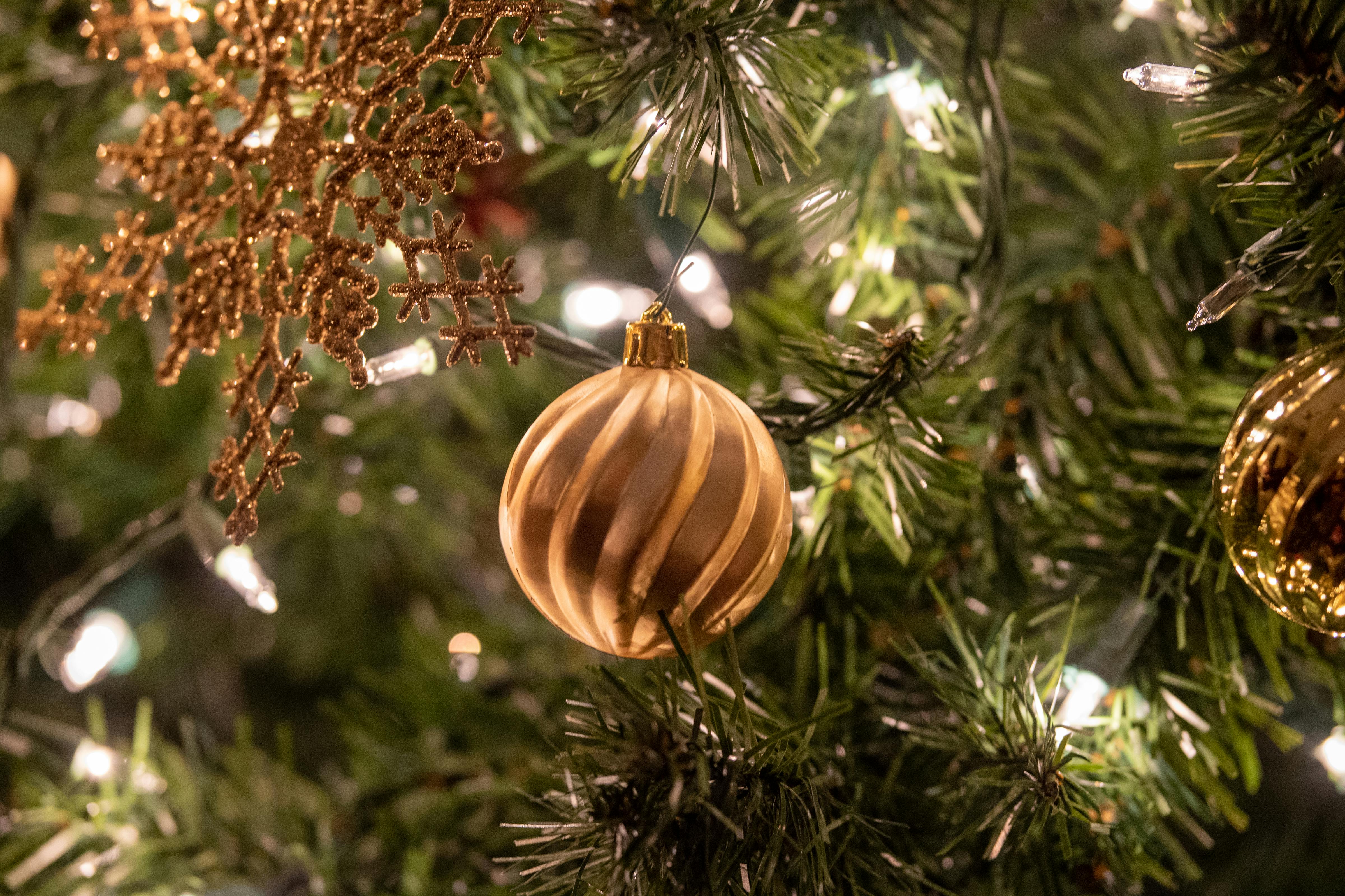 These Christmas Songs Most Likely to Tank Productivity at Work, Study Finds — Photo by Alyssa DeGarde on Pexels