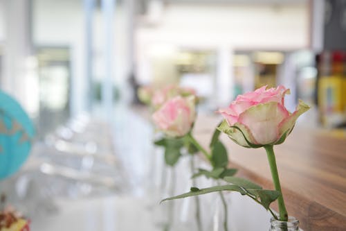 Pink Rose on Bottle Decor