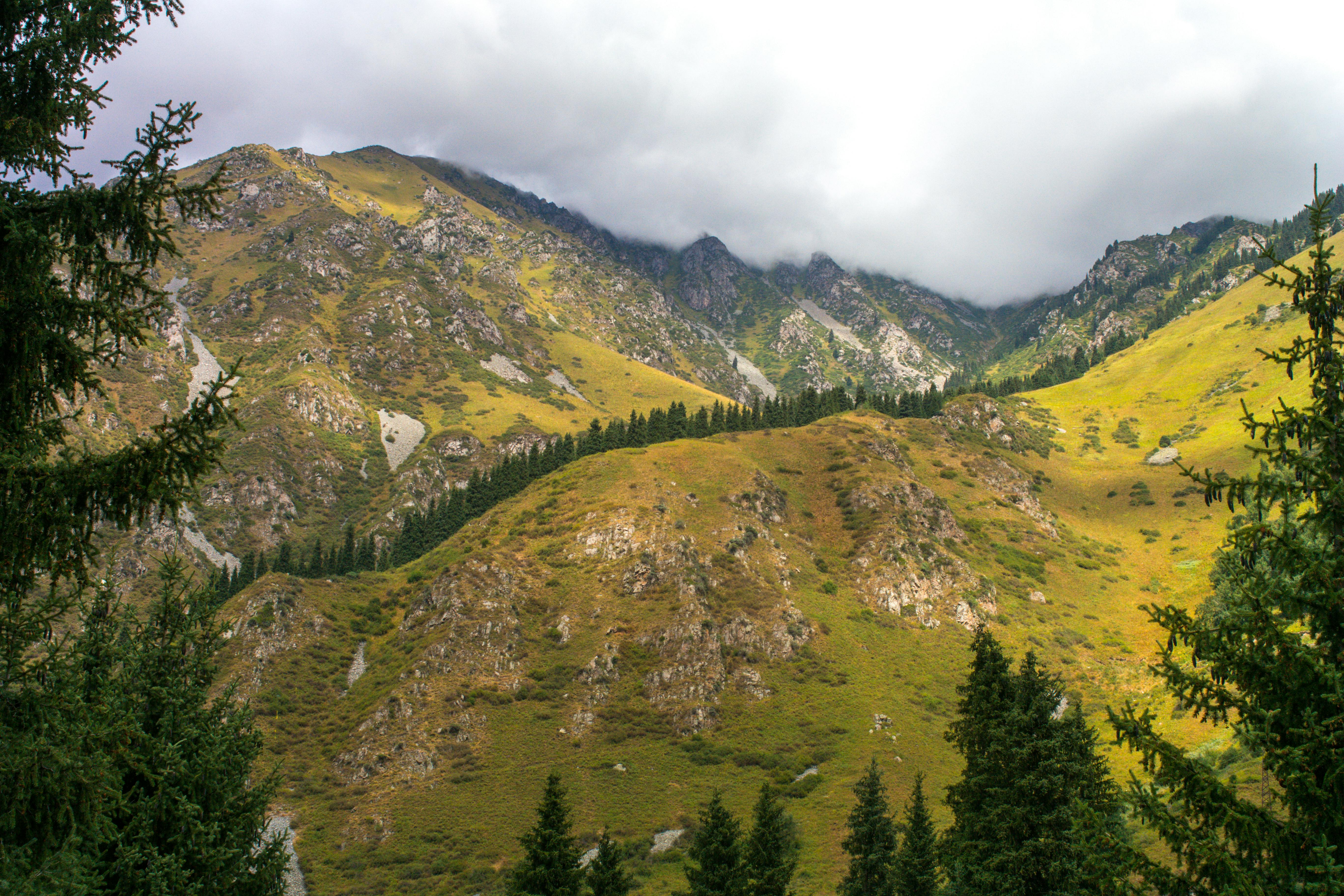Primul proiect al pactului climatic prezentat oficial