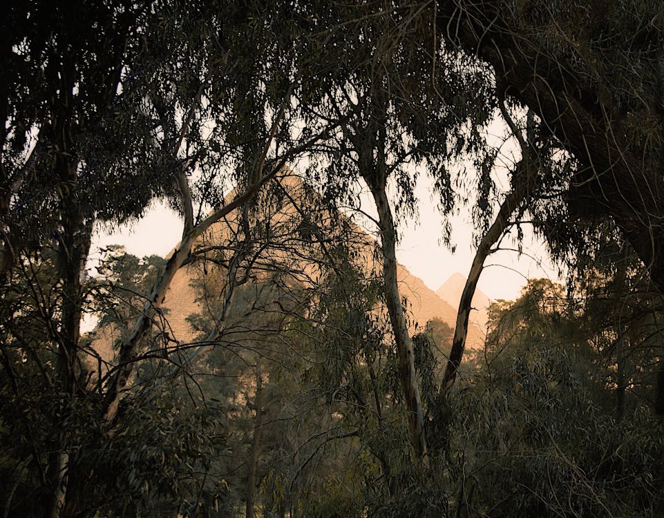 desertscape, 世界奇觀, 前景 的 免費圖庫相片