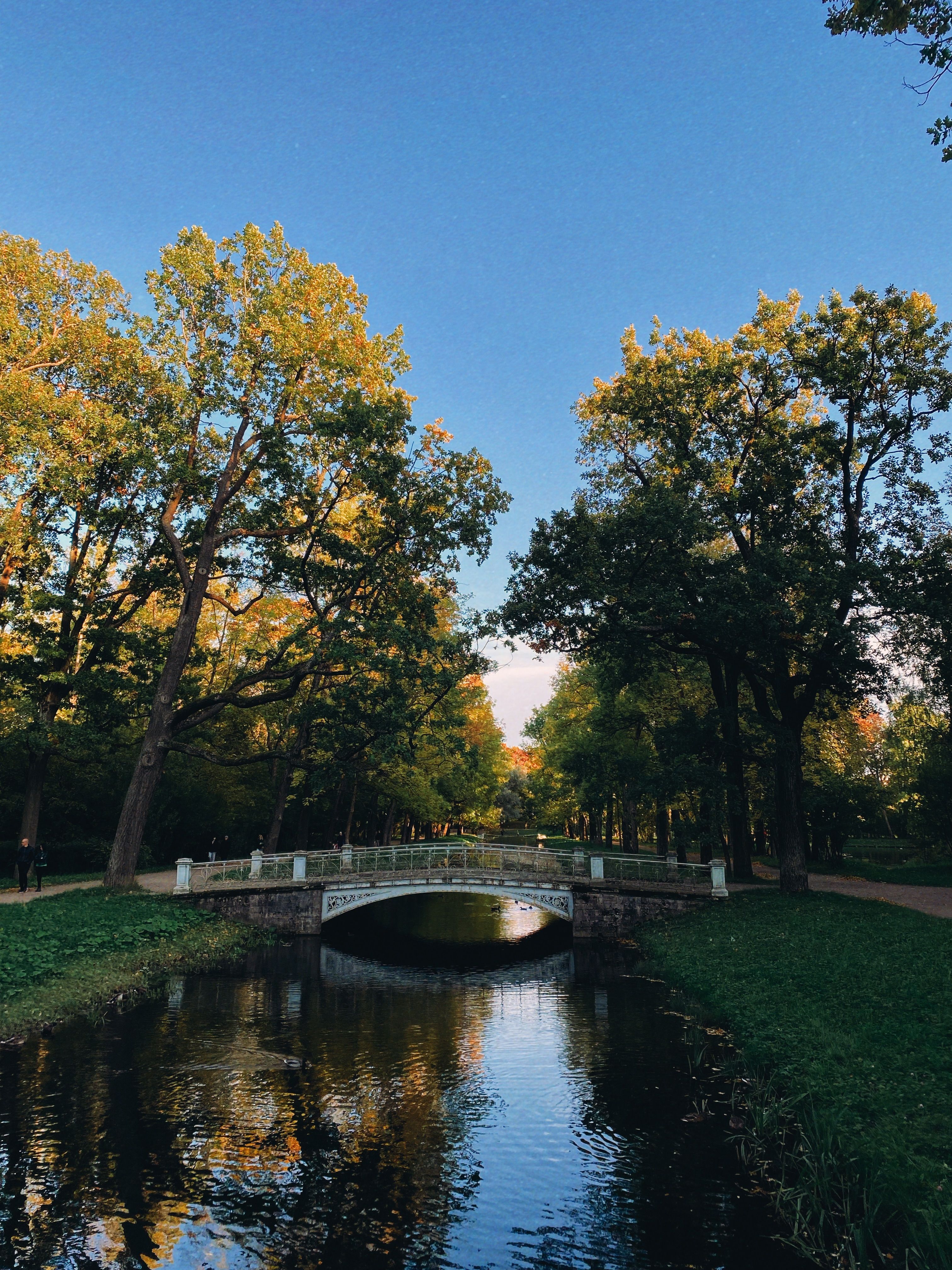 River and Bridge with Trees on the Riverbanks in a Park · Free Stock Photo