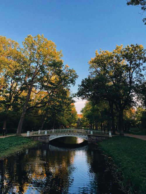 Free Stunning view of a bridge over a calm river in a lush green park. Perfect for nature lovers. Stock Photo