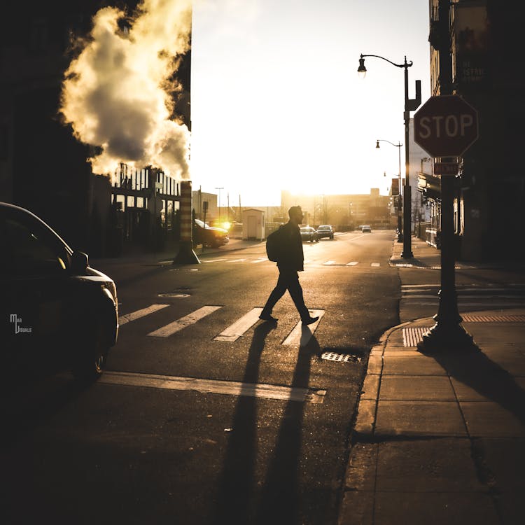 Silhouette of a Person Crossing a Pedestrian Lane · Free Stock Photo