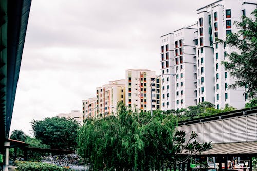 Free stock photo of green amp cleanland, singapore