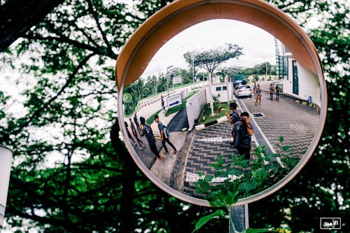 Kostenloses Stock Foto zu grün und sauber, singapur