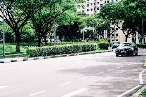 Kostenloses Stock Foto zu grün und sauber, singapur