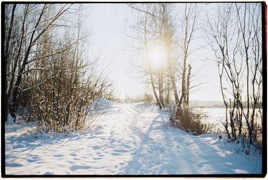 A serene winter morning with a snow-covered path through a bare tree forest, illuminated by warm sunrise light.