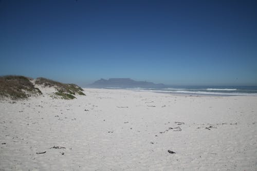 White Sand and Green Grass Near Beach