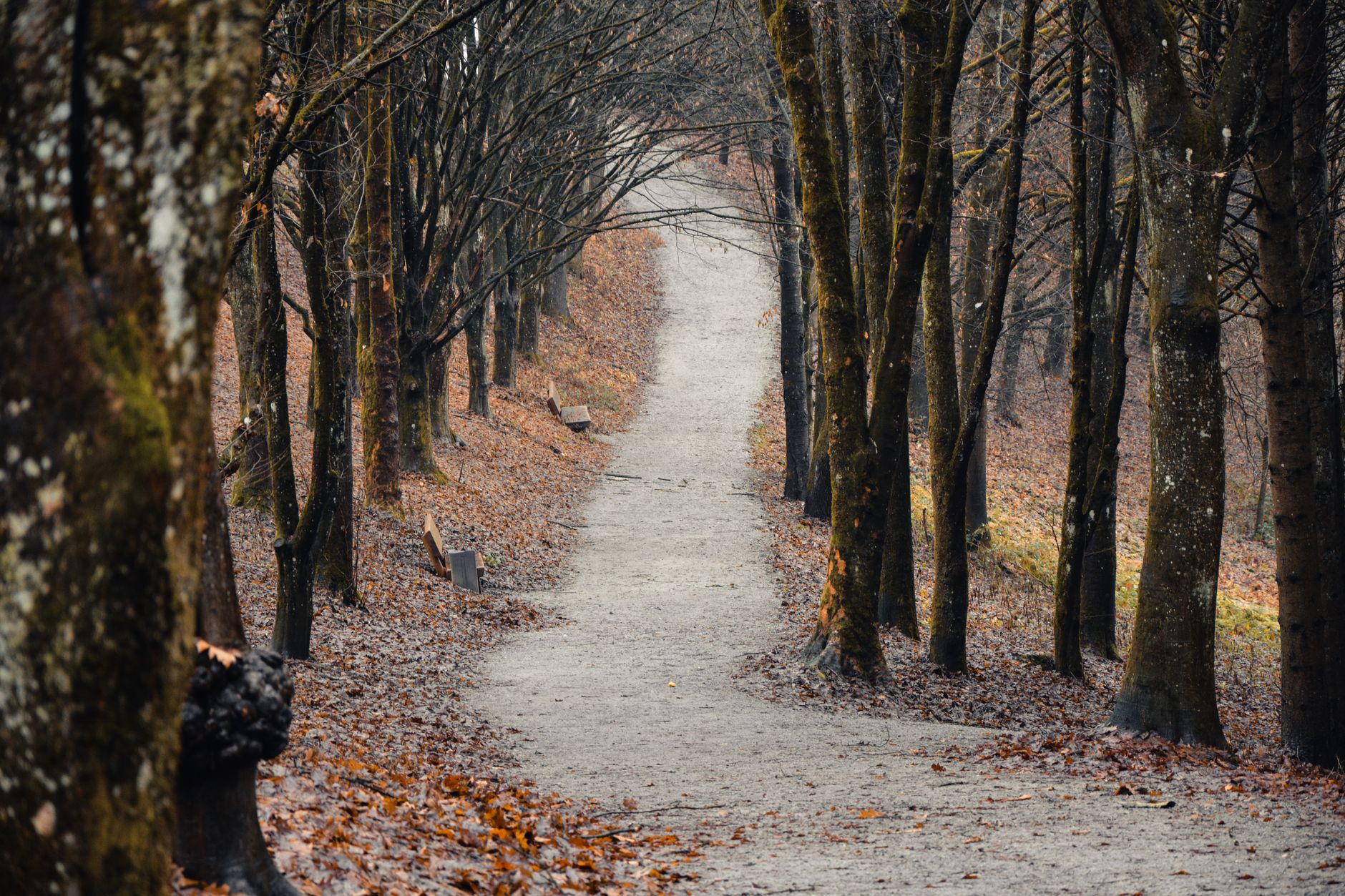 Which Path Is Actually Right for You?