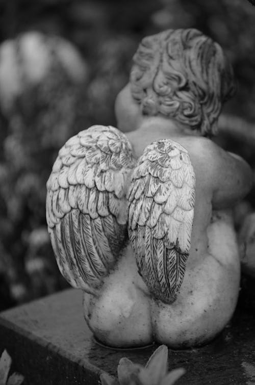 Foto profissional grátis de anjo, asas de anjo, escultura