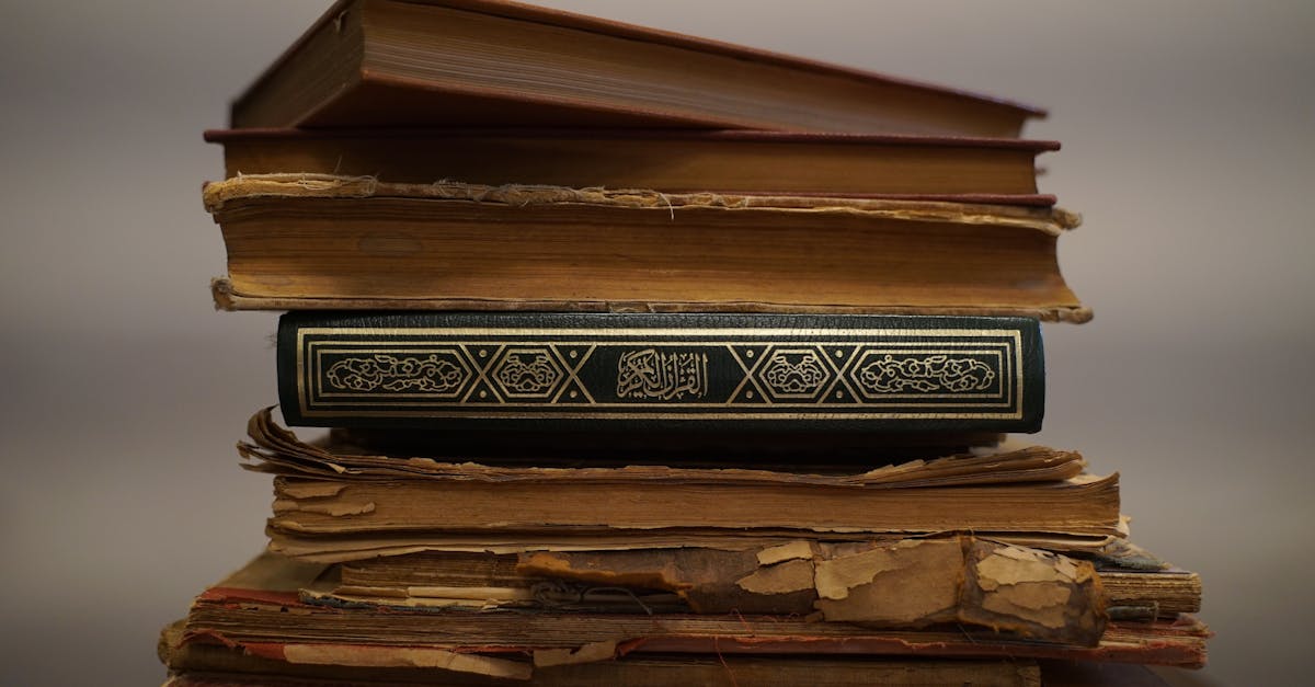 The Bloom & the Blade 1 image text