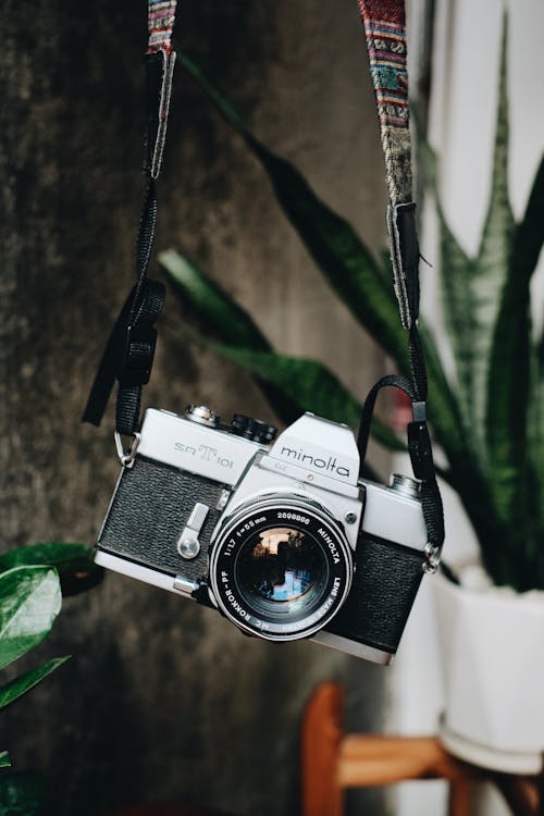 Kostnadsfri bild av analog kamera, hängande, kameralins
