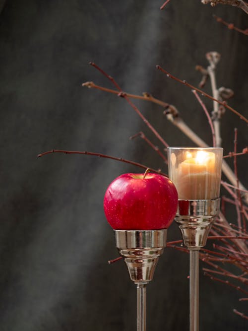Foto d'estoc gratuïta de Apple, branques, espelma de cera