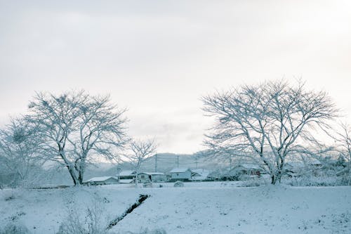 Gratis stockfoto met huizen, ijzig, jaargetij