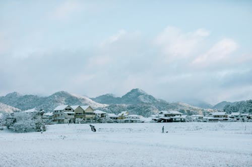 Základová fotografie zdarma na téma domy, hřiště, sníh