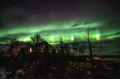 ağaçlar, Aurora borealis, ev içeren Ücretsiz stok fotoğraf