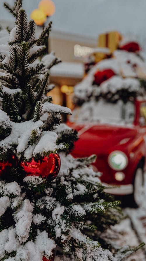 Foto d'estoc gratuïta de arbre de coníferes, bola de nadal, cobert de neu