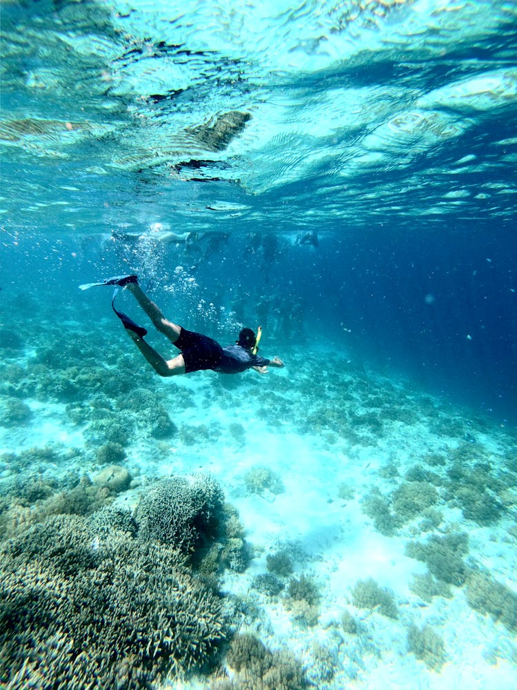 A Person Swimming Underwater