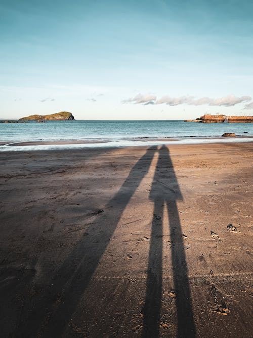 A Shadow of People on the Shore of a Beach