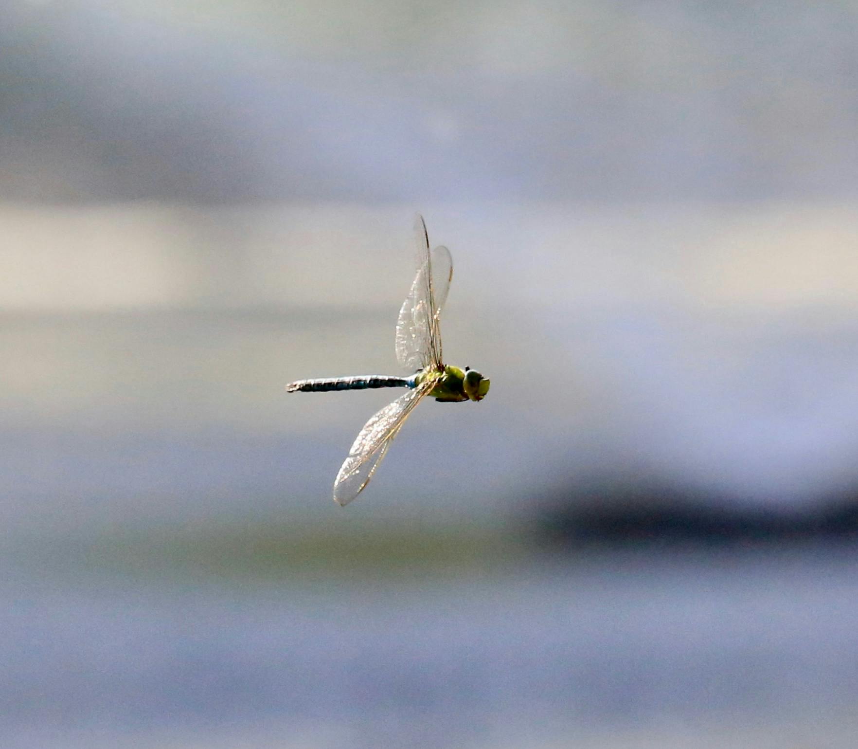 新开传奇私服网站945游戏截图1