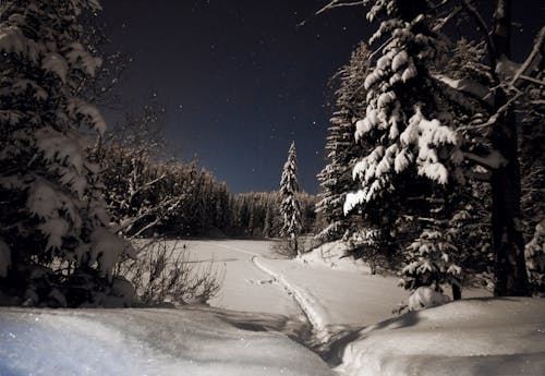 
A Snow Covered Field at Night