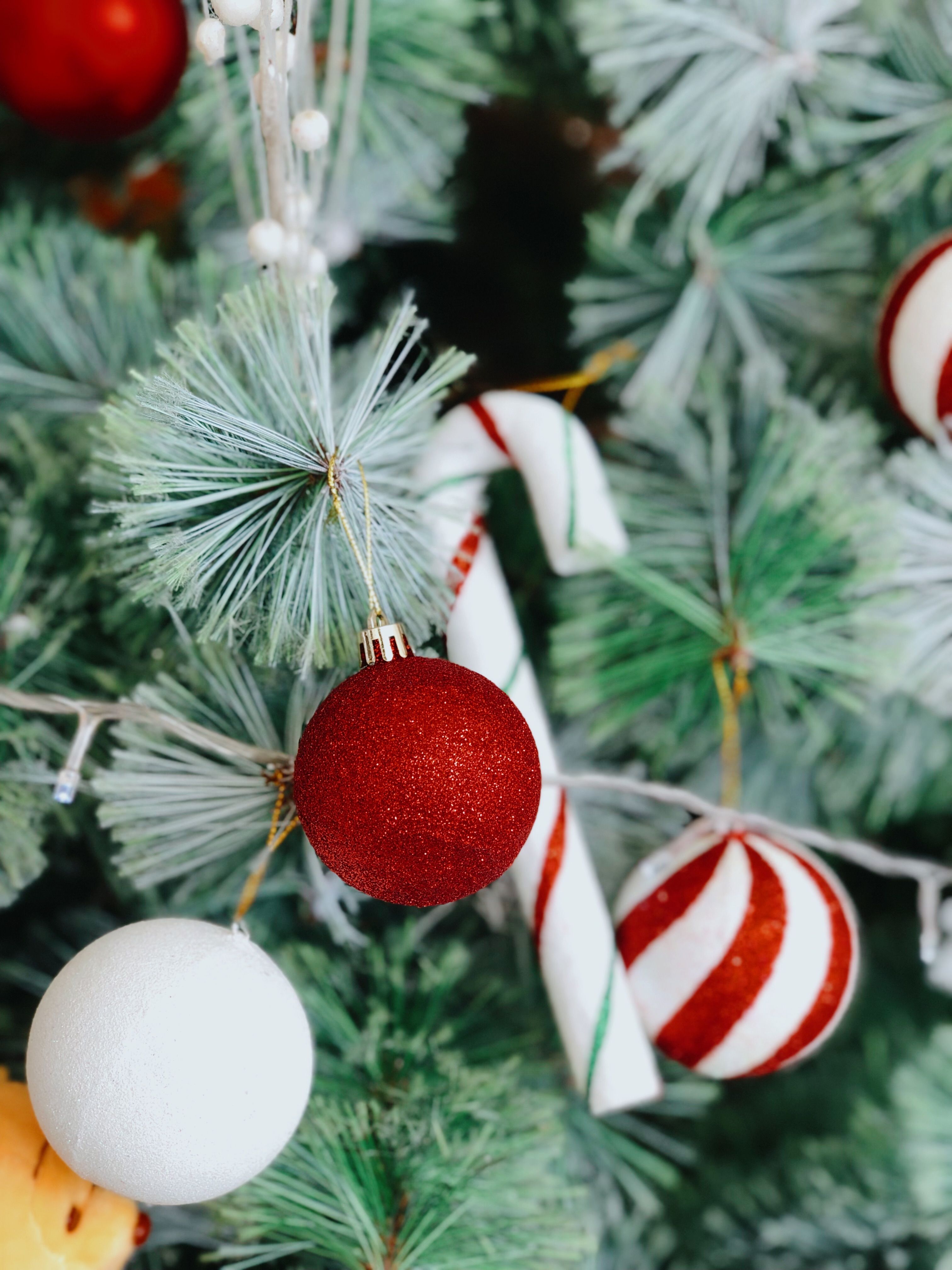 Close up of Christmas Decorations on Christmas Tree · Free Stock Photo