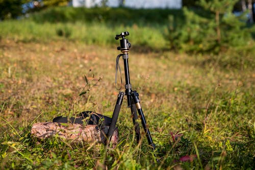 Photos gratuites de équipement de caméra, herbe, trépied