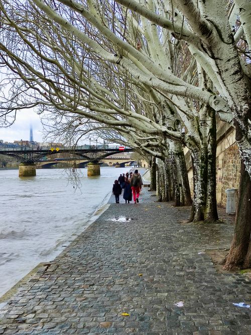 Free A serene riverbank walk along a cobblestone path lined with bare trees and a bridge in the background. Stock Photo