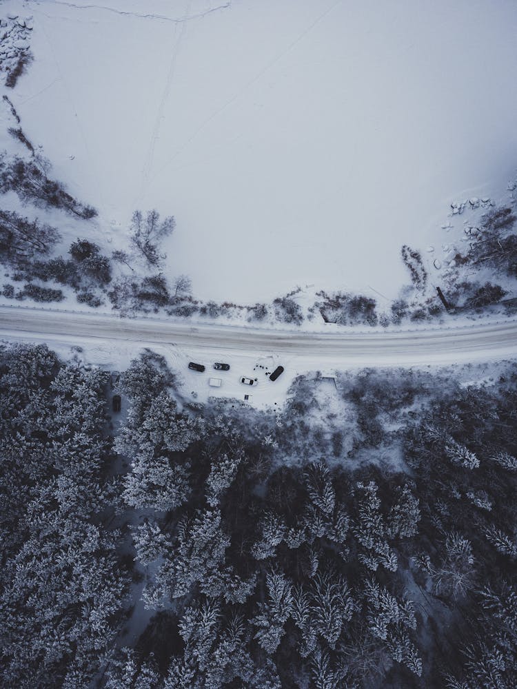 Cars On Road Near Forest In Snow