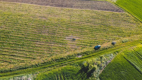 Free Aerial Photography of a Farm Stock Photo