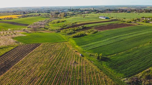 Free Aerial view of lush green fields in Săcueni, Romania, showcasing vibrant rural landscapes. Stock Photo