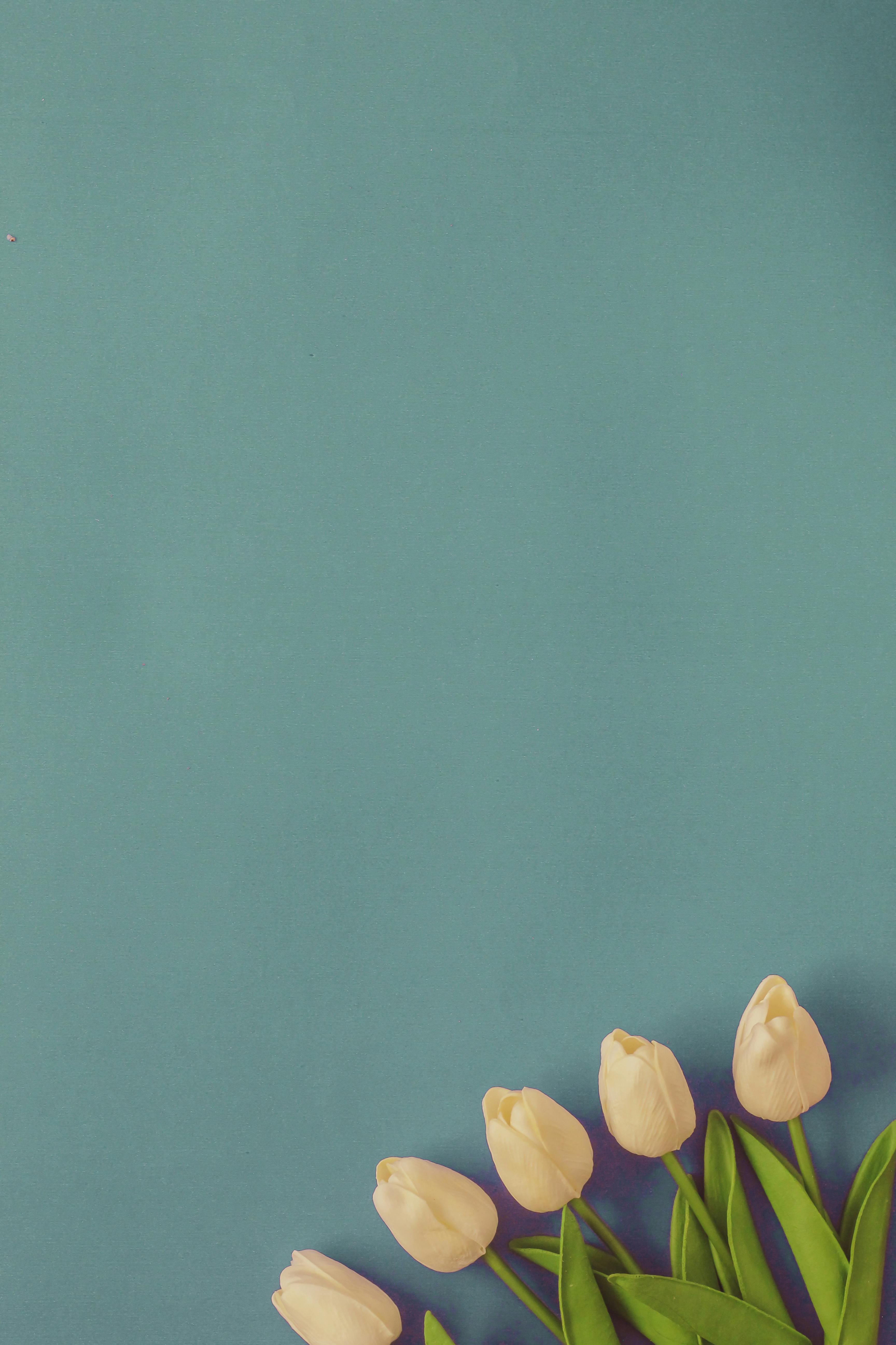 бесплатная Бесплатное стоковое фото с copy space, абстрактный, безмятежный Стоковое фото