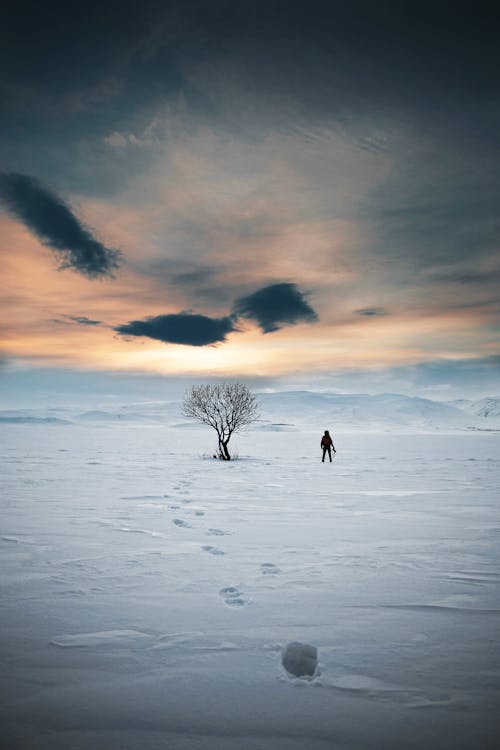 Free Person Standing on Snow-Covered Field during Sunset Stock Photo