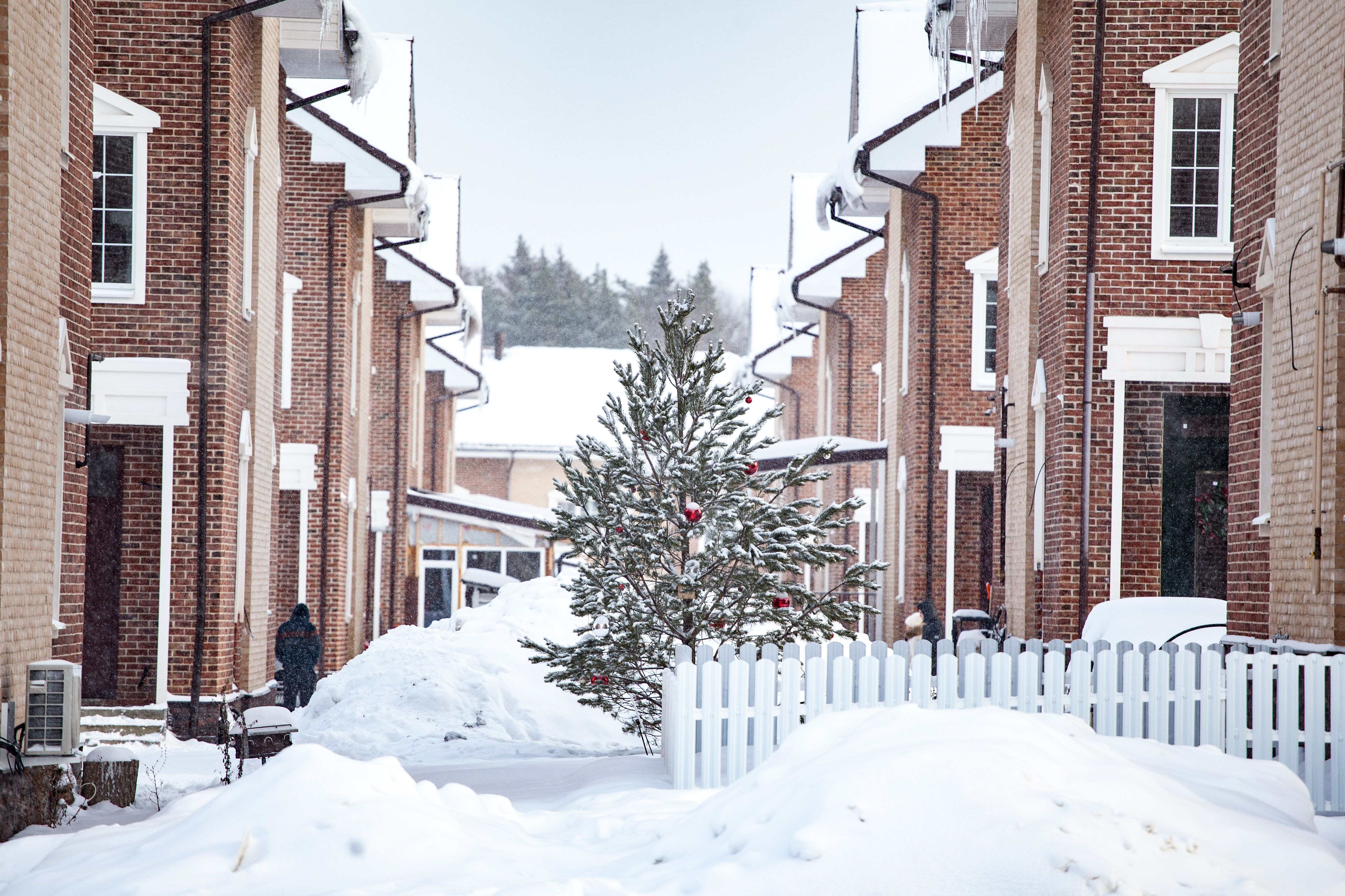 Brick houses lined with snow and a decorated Christmas tree, depicting a serene winter urban residential area.