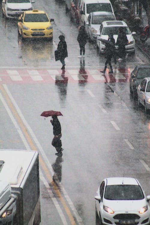 People Walking on Pedestrian Line while Raining