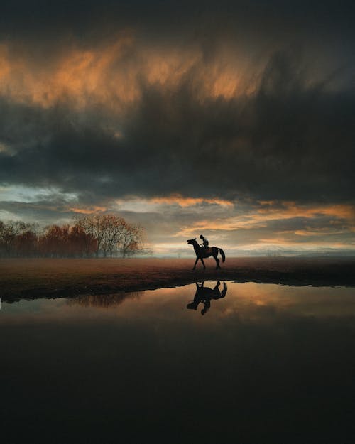 Silhouette of a Person Riding a Horse During Sunset