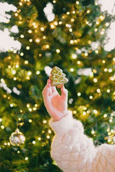 A hand holds a green gingerbread tree in front of a decorated Christmas tree with lights.