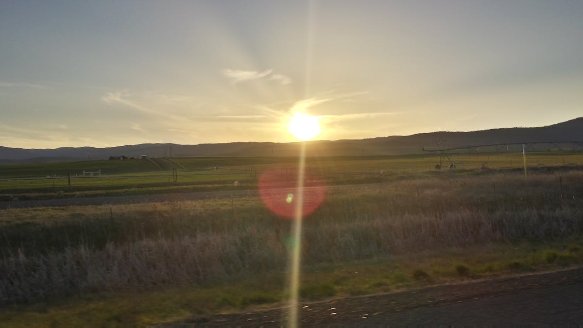 Person recording a TikTok video while holding a book in front of a bookshelf
