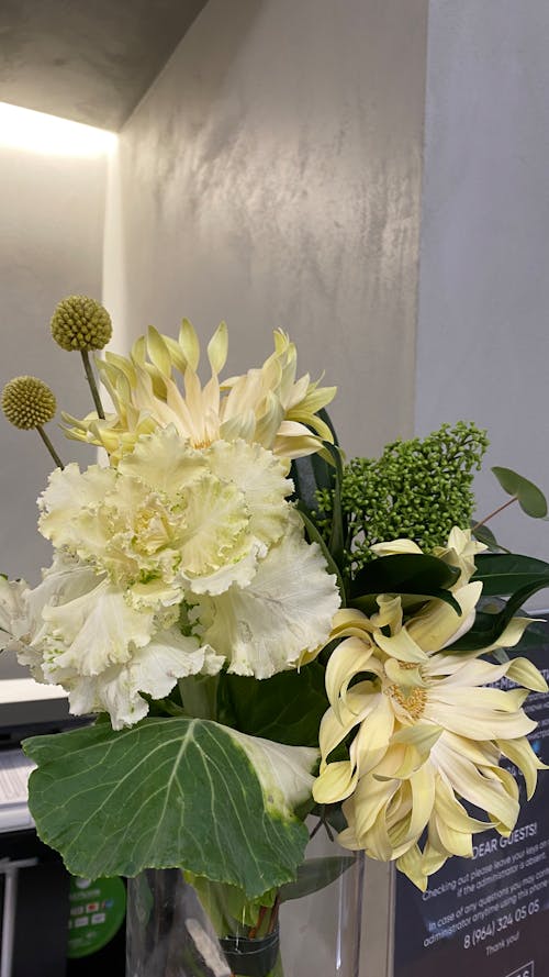 White Flowers with Big Leaves on Clear Glass Vase 