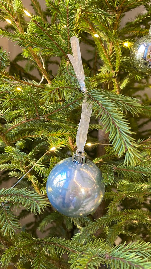 Photos gratuites de arbre de noël, boule de cristal, fermer